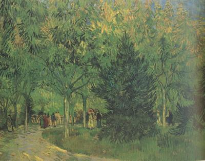 Vincent Van Gogh A Lane in the Public Garden at Arles (nn04) Sweden oil painting art
